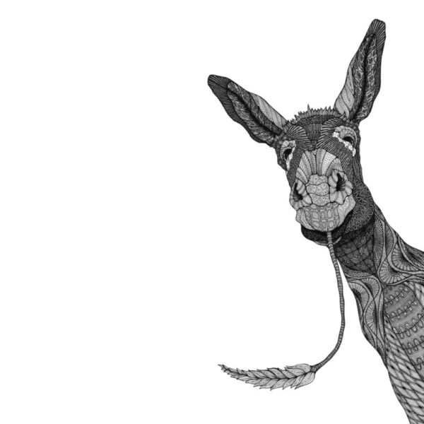 Donkey 2019